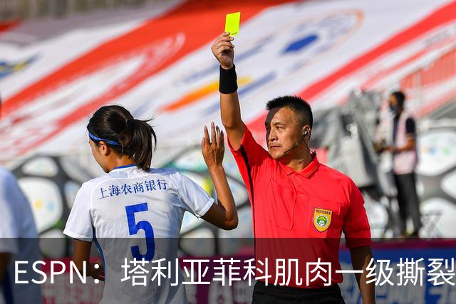 ESPN：塔利亚菲科肌肉一级撕裂，至少缺席世界杯前两场小组赛